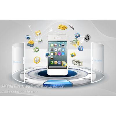 汕頭網(wǎng)站建設(shè)與設(shè)計(jì)專(zhuān)家 打造誠(chéng)信通旺鋪，賦能企業(yè)數(shù)字化發(fā)展